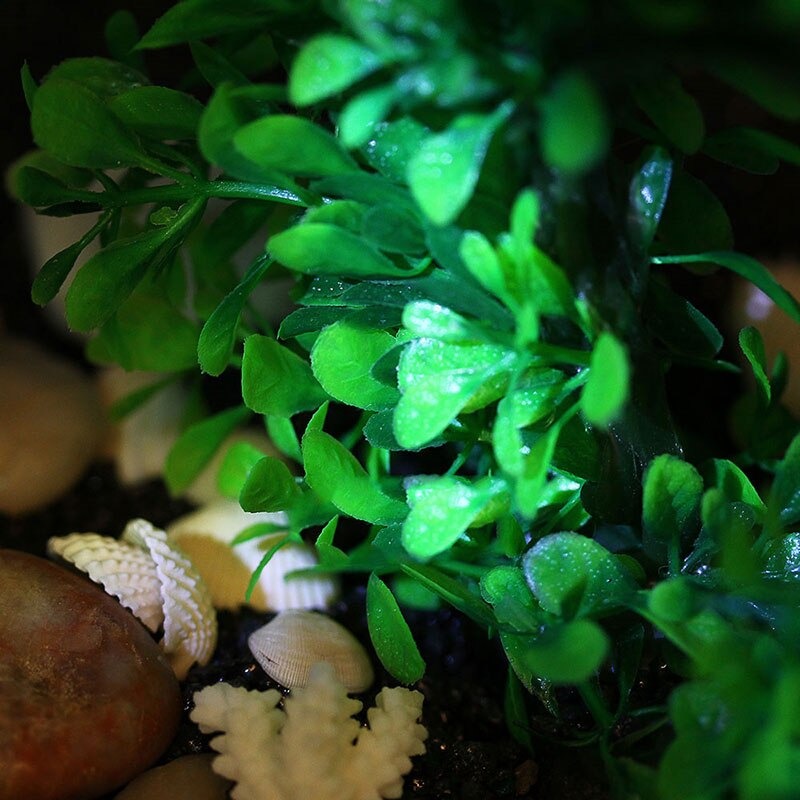 Plastic Water Arched Plant Grass