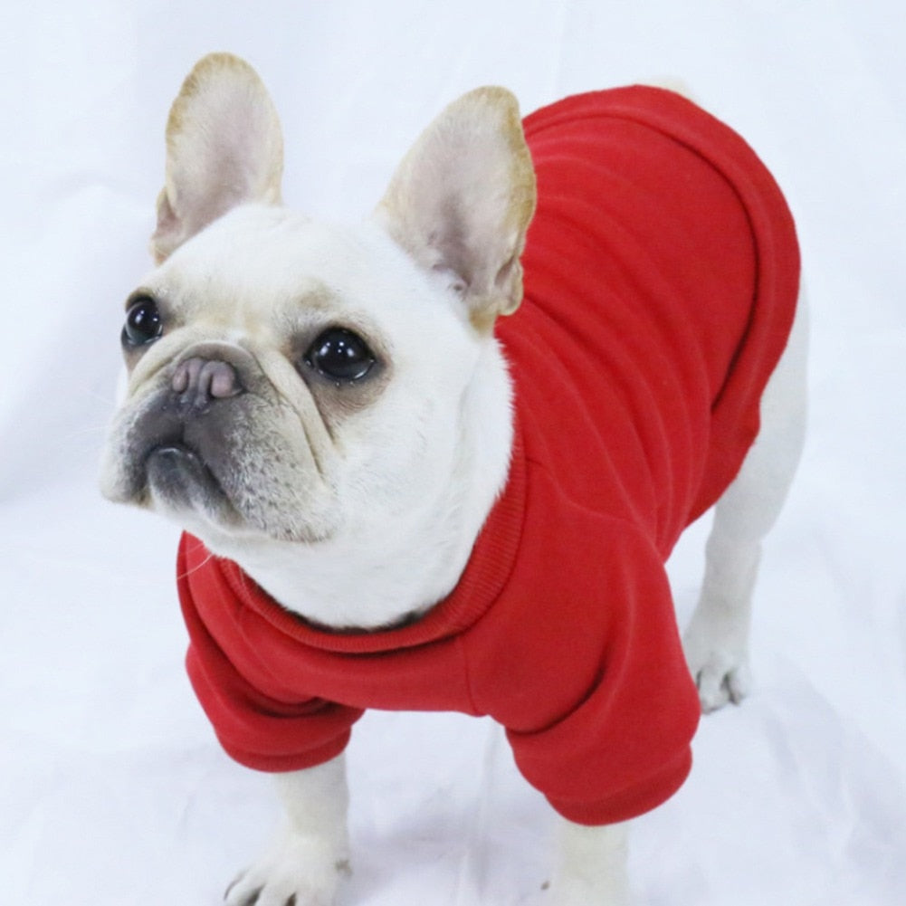 Multi-Color Warm Dog Hoodie