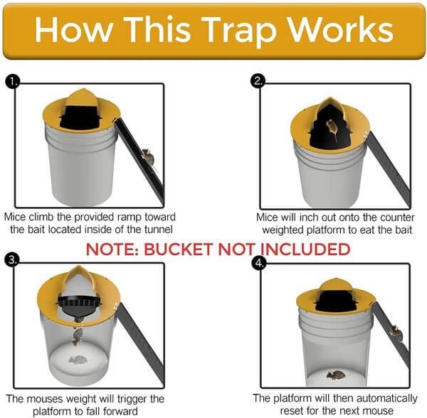 Bucket Lid Mouse Trap