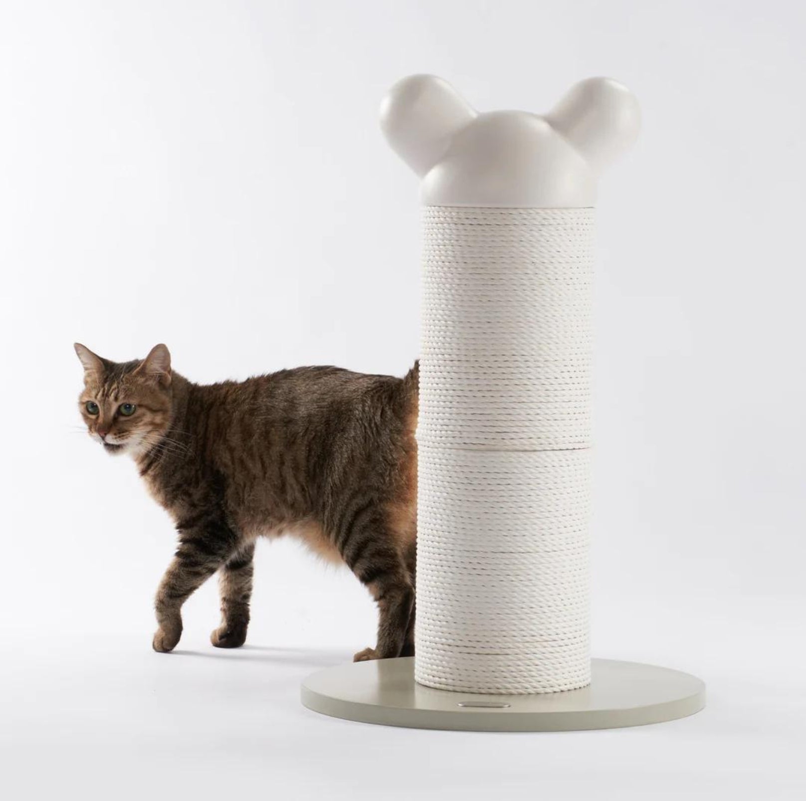 Makesure Nino Cat Scratching Post | Cat Tree