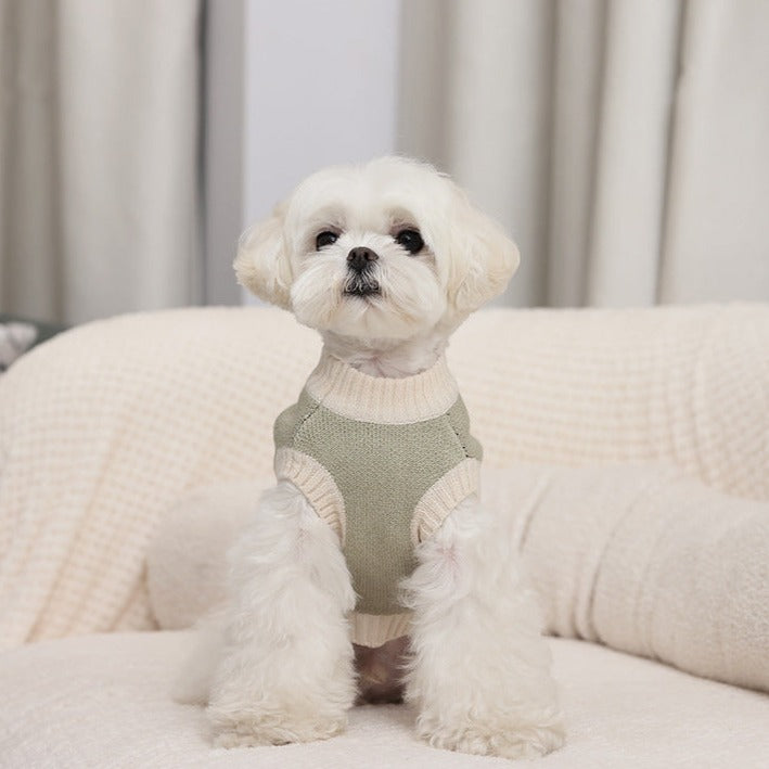 Sweet Bear Printed Dog Cat Sweater