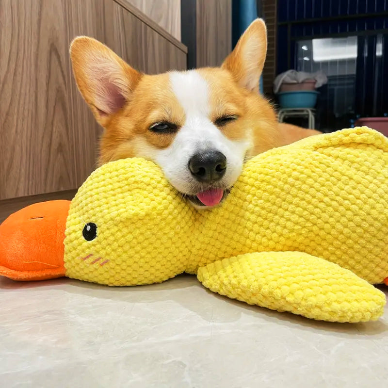 Versatile Chewing Duck Toy