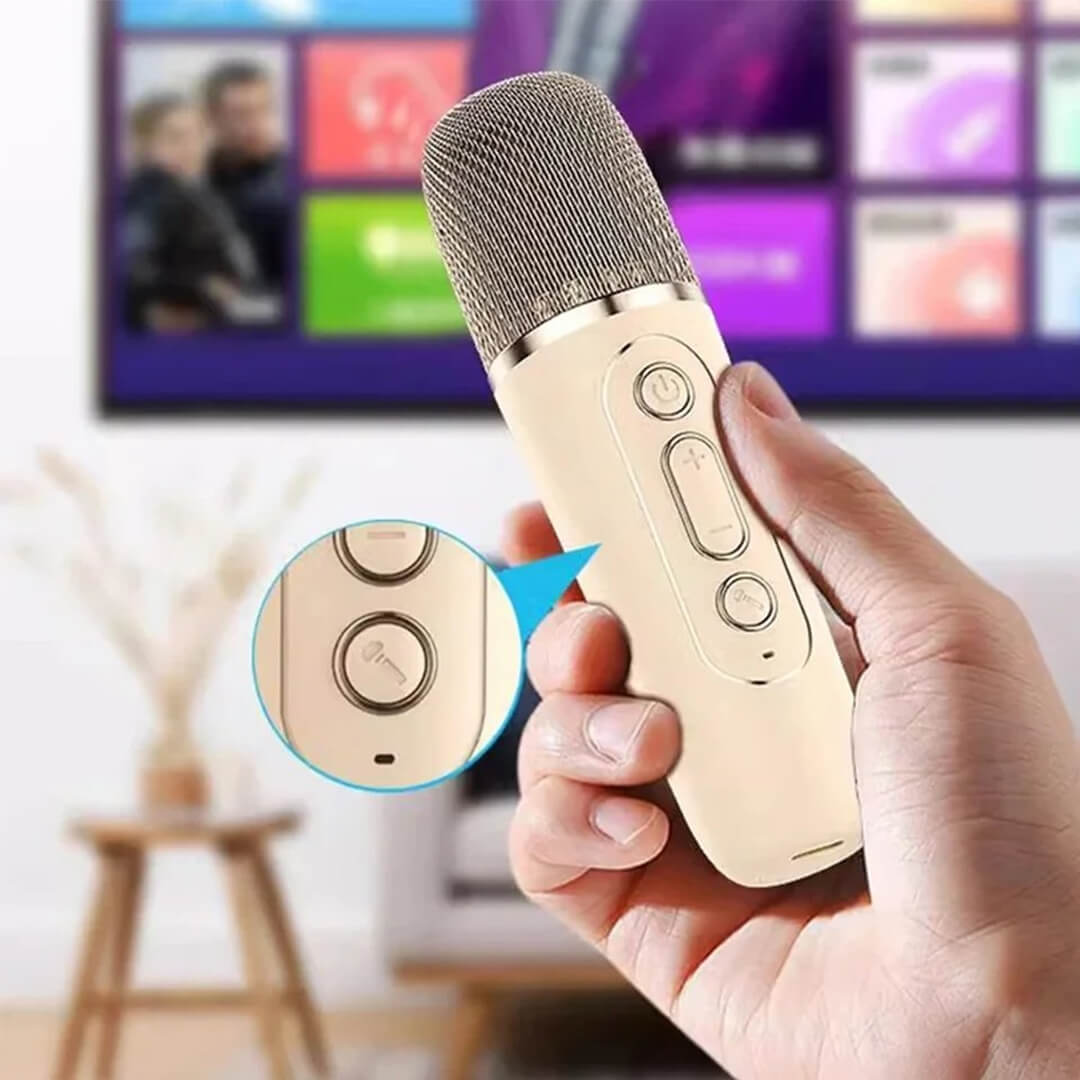 K12 Karaoke Wirless Speaker With Mic