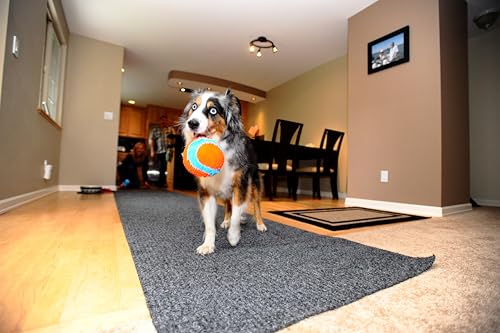 Chuckit Indoor Fetch Ball Dog Toy (4.75 Inch). Orange and Blue