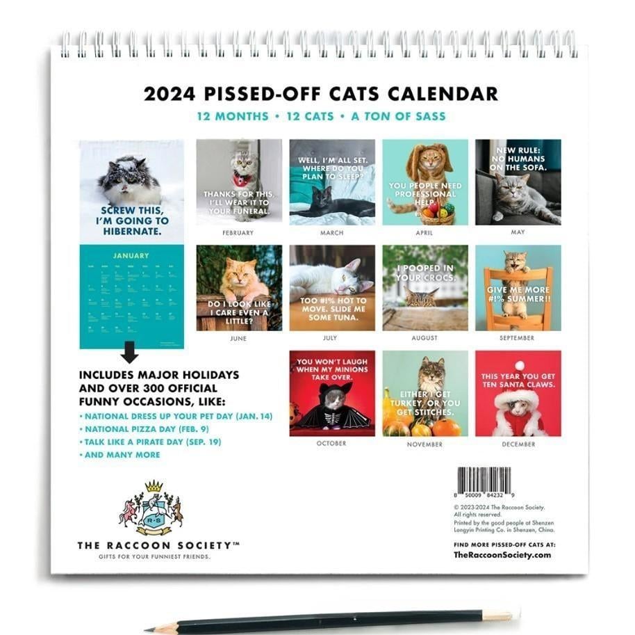 🎄Christmas Sale - 49% OFF😾2024 Pissed-Off Cats Calendar