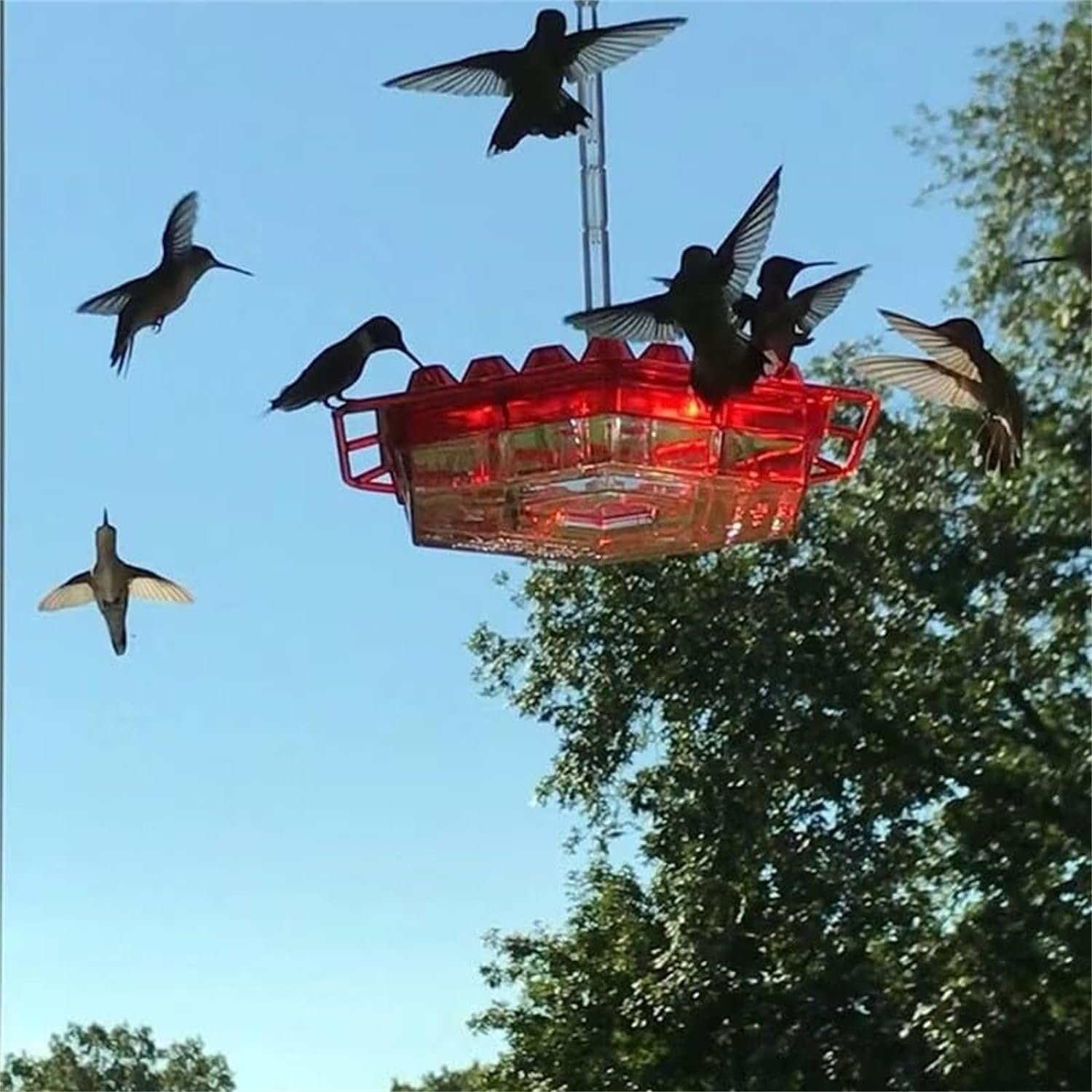 ❤️Mother's Day Sale 49% OFF-Hummingbird Feeders for Outdoors Hanging
