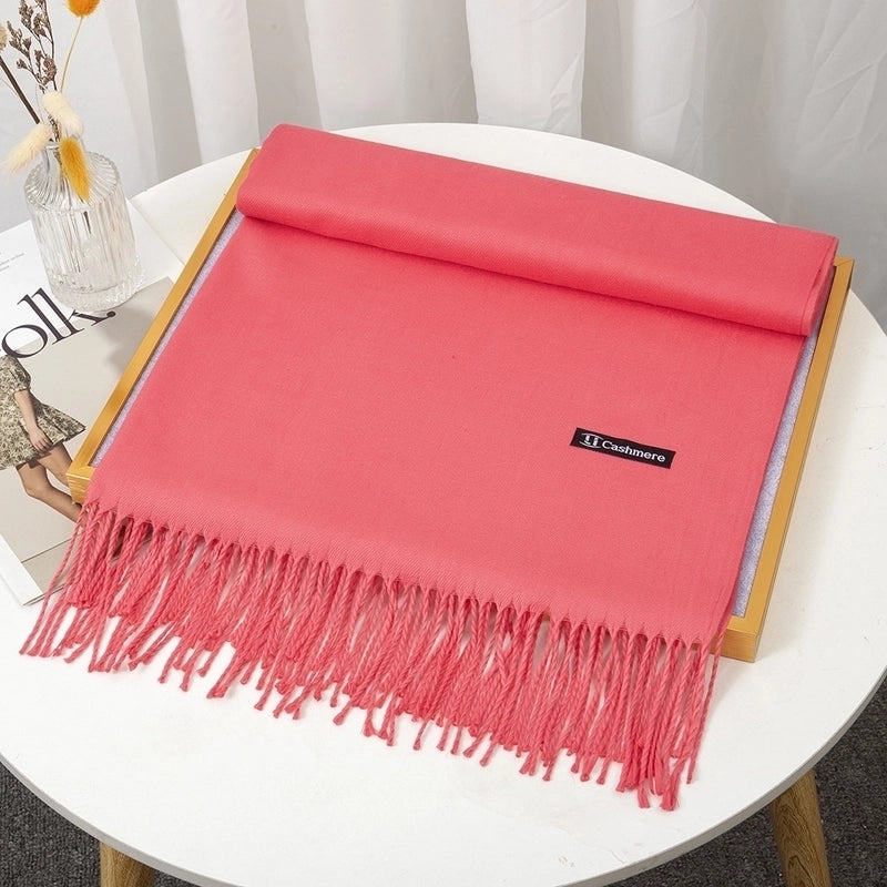Women's Minimalist Solid Color Imitation Cashmere Tassel Scarf