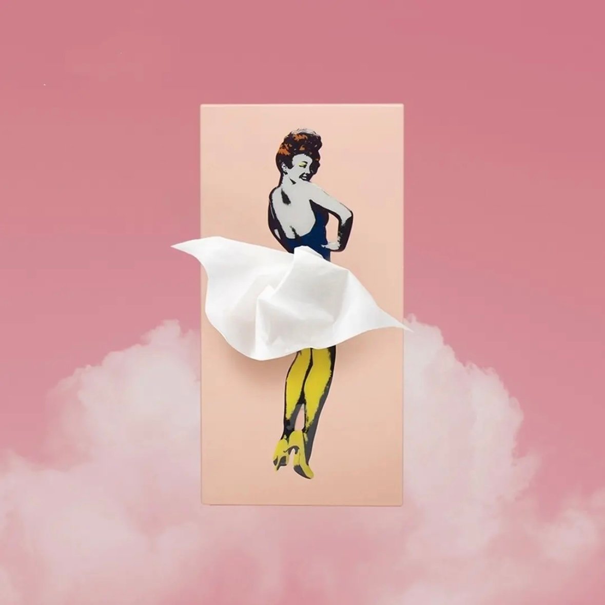 ✨Hot Sale Now 49% OFF - Flying Skirt Tissue Box