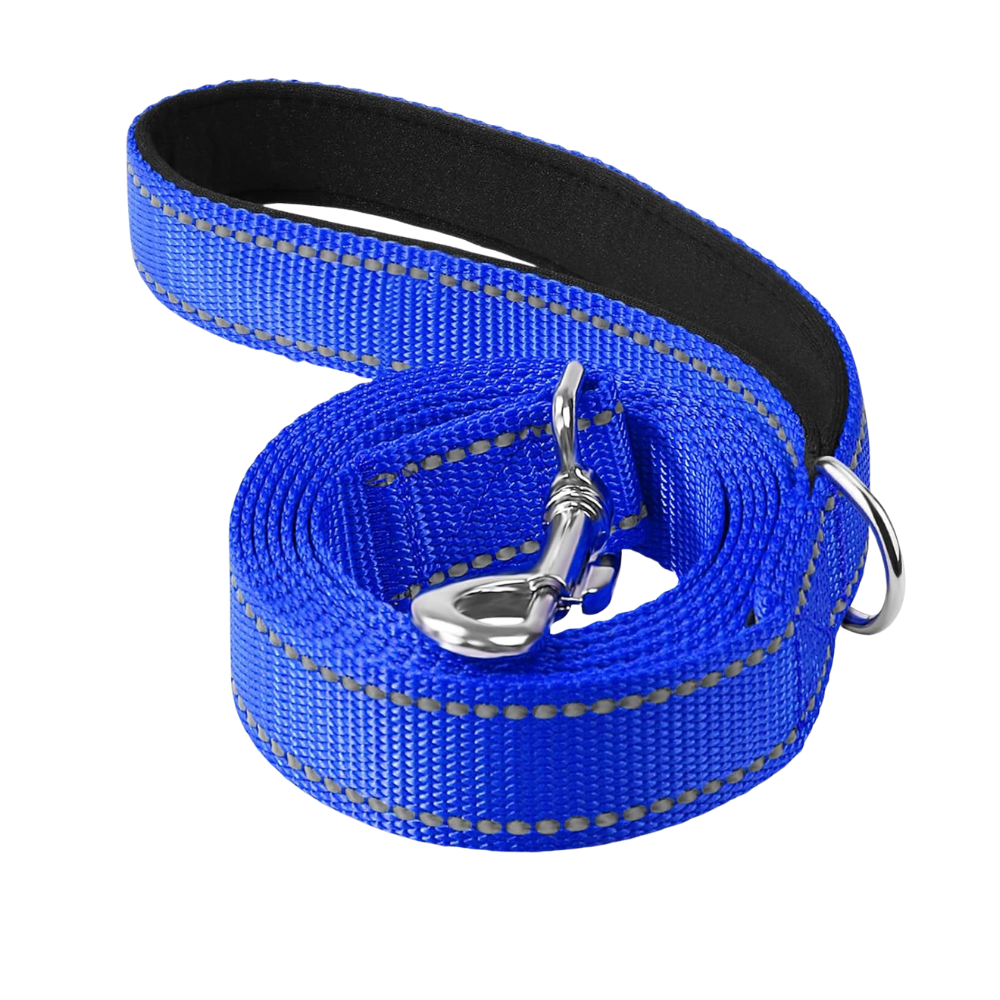 Double Sided Reflective Dog Leash