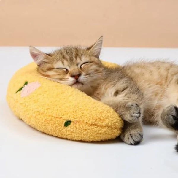 (LAST DAY SALE - 49% OFF) Cat Lovely Cozy Pillow   BUY 3 GET 3 FREE & FREE SHIPPING