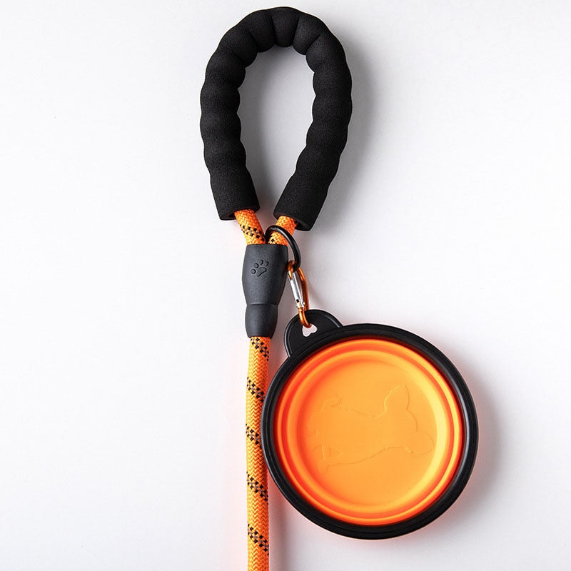 PawGrip Pro Leash