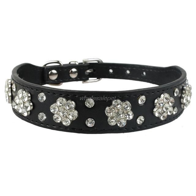 Flower Studded Leather Dog Collar