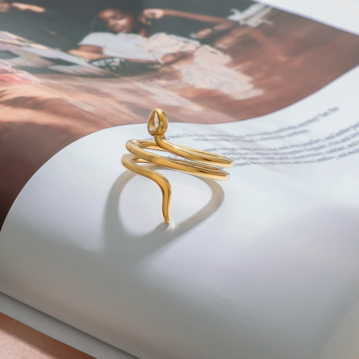 Jie Ding Stainless Steel Snake Ring Titanium Steel Jewelry Female Niche Design Ring Ring