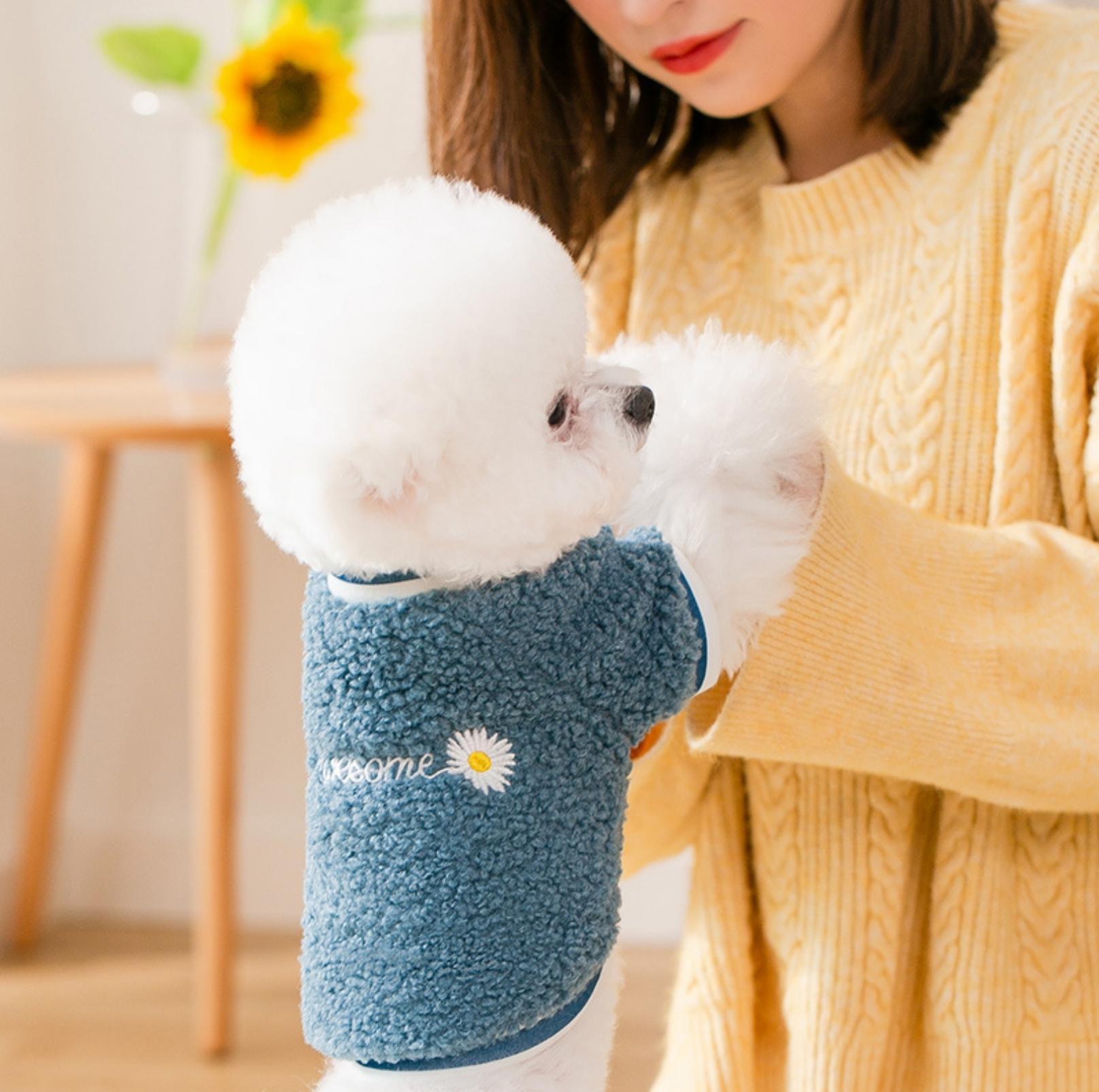 Daisy-Embroidered Wool Fleece Apparel for Dogs and Cats
