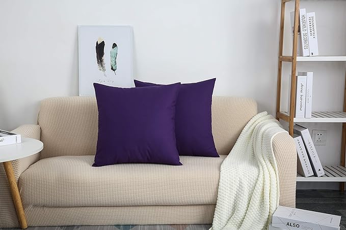 Plum-Cushion Covers Pack of Two
