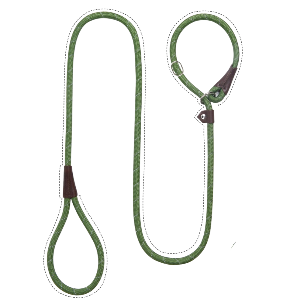 Sturdy Slip Training Leash