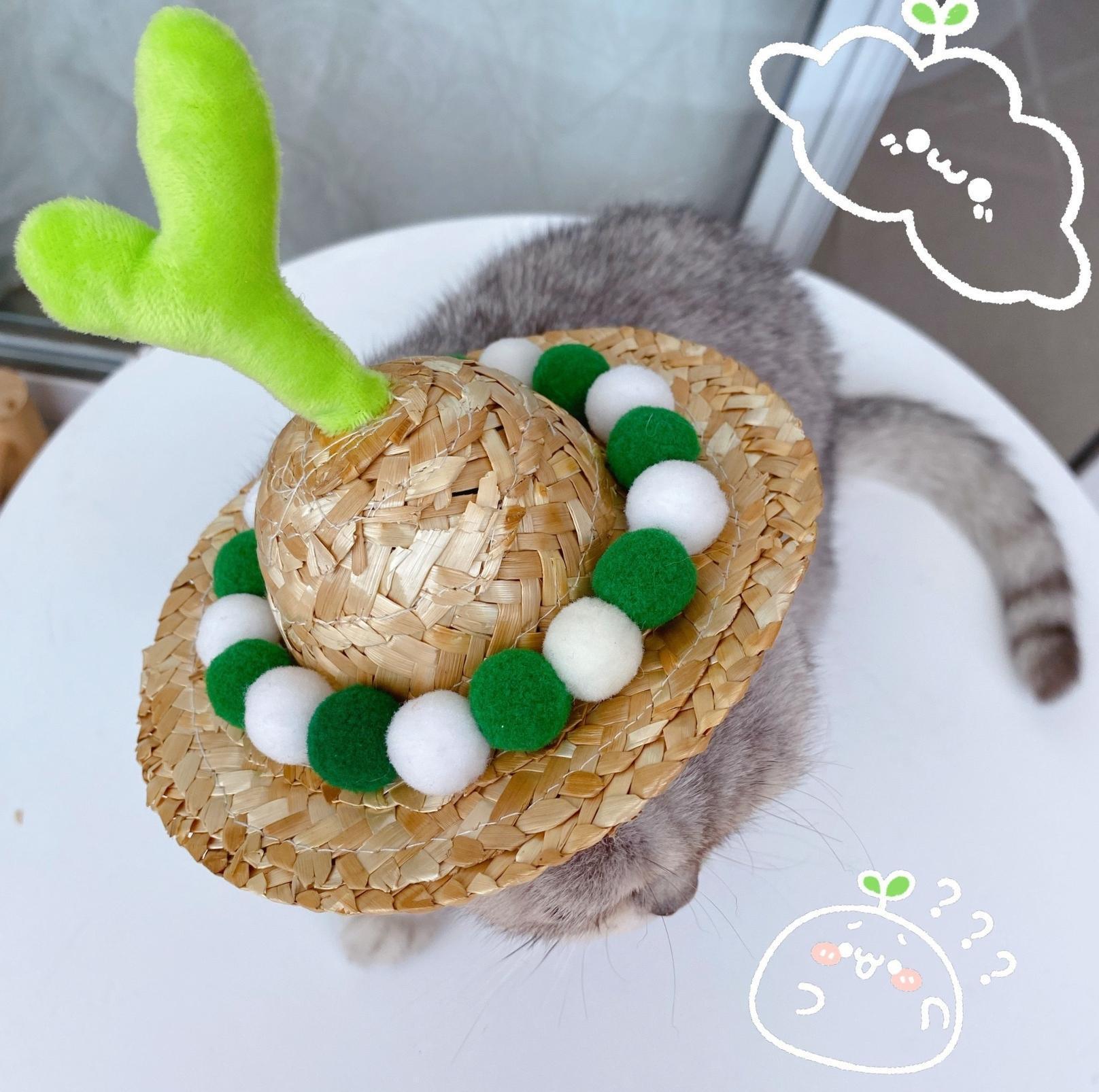 Unique Style Pet Straw Hat