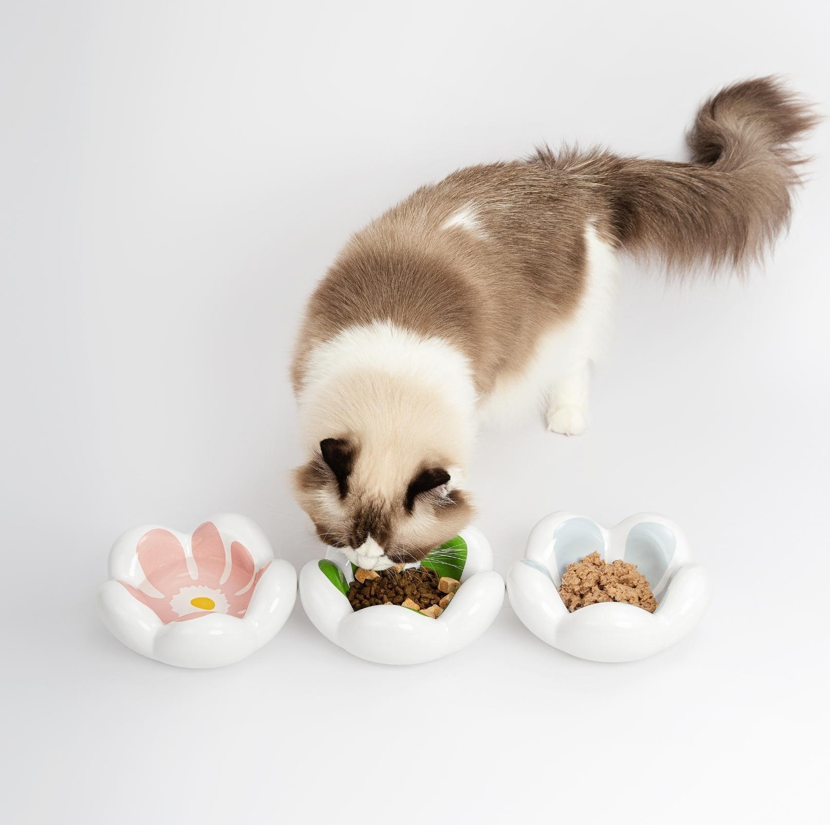 Wulee Petal Shaped Ceramic Antibacterial Pet Cat Bowls Small Dog Bowls