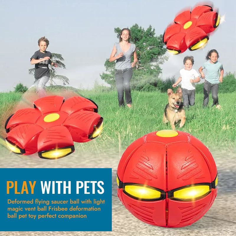 🐾Pet Toy Flying Saucer Ball🔥Buy 2 & Free Shipping