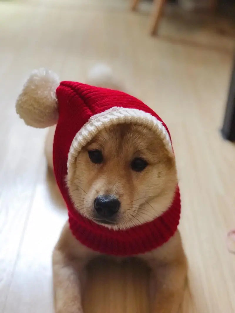 Winter Pet Christmas Hat Warmer