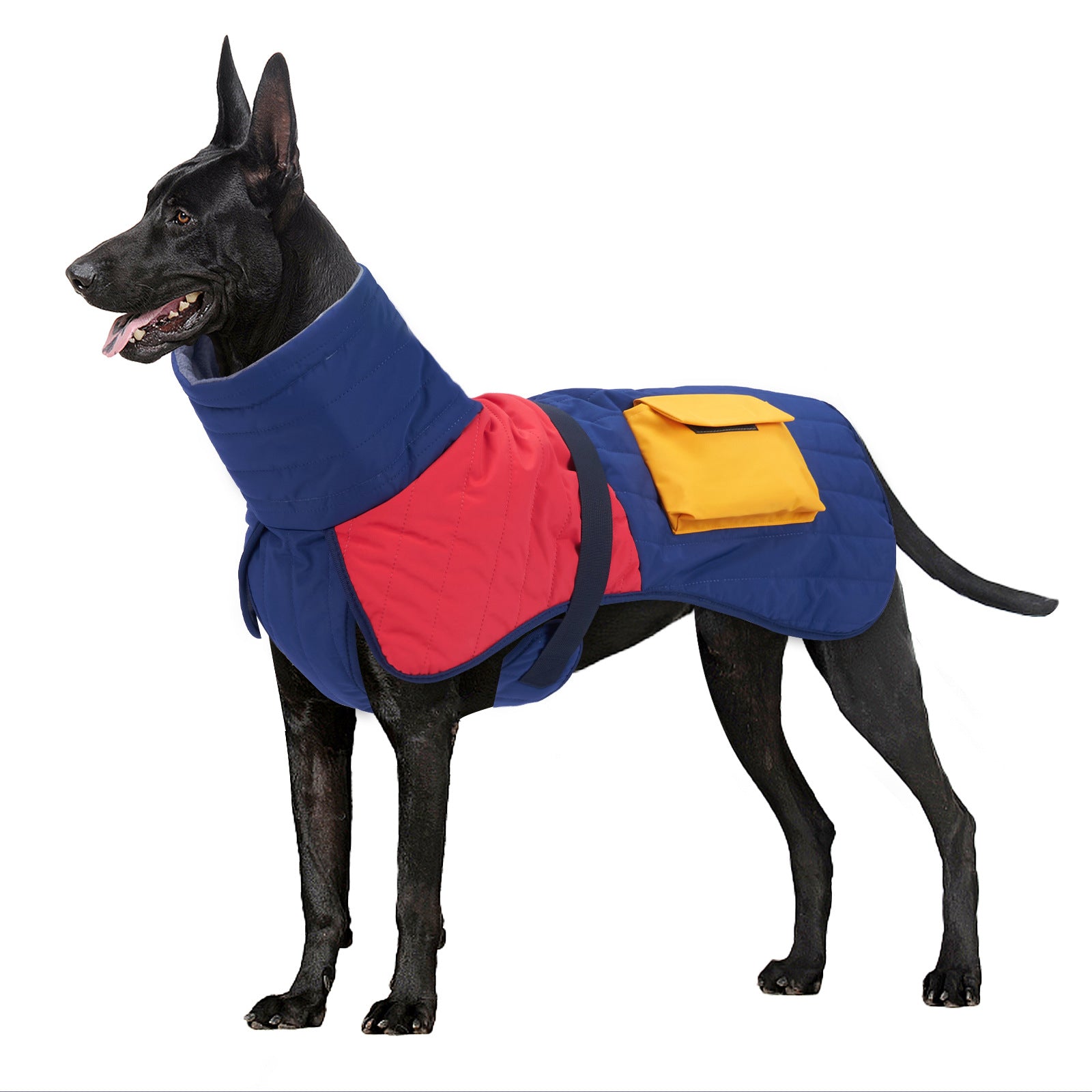 Beat the Chill: Winter Warrior Dog Coat