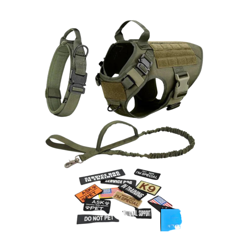 Dog Harness With Front And Back D Rings