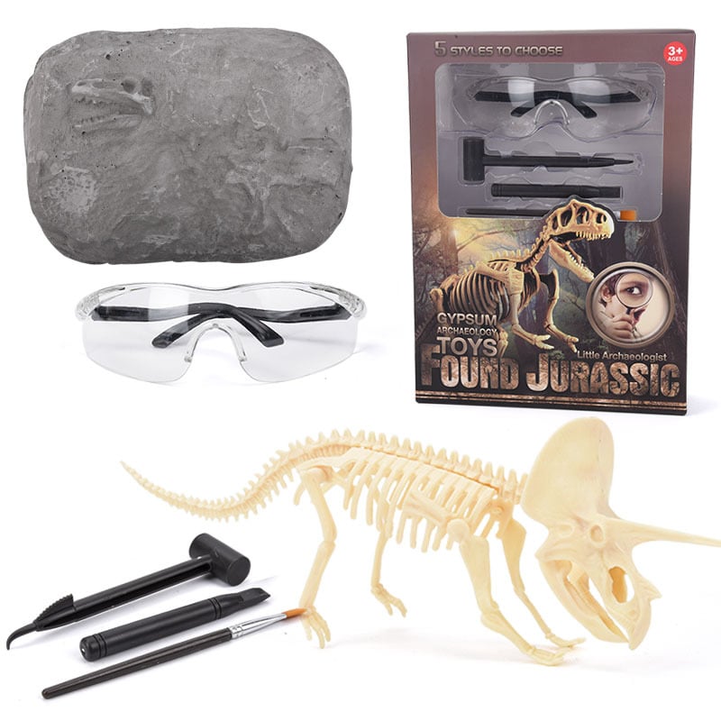 🦖Dinosaur Fossil Digging Kit