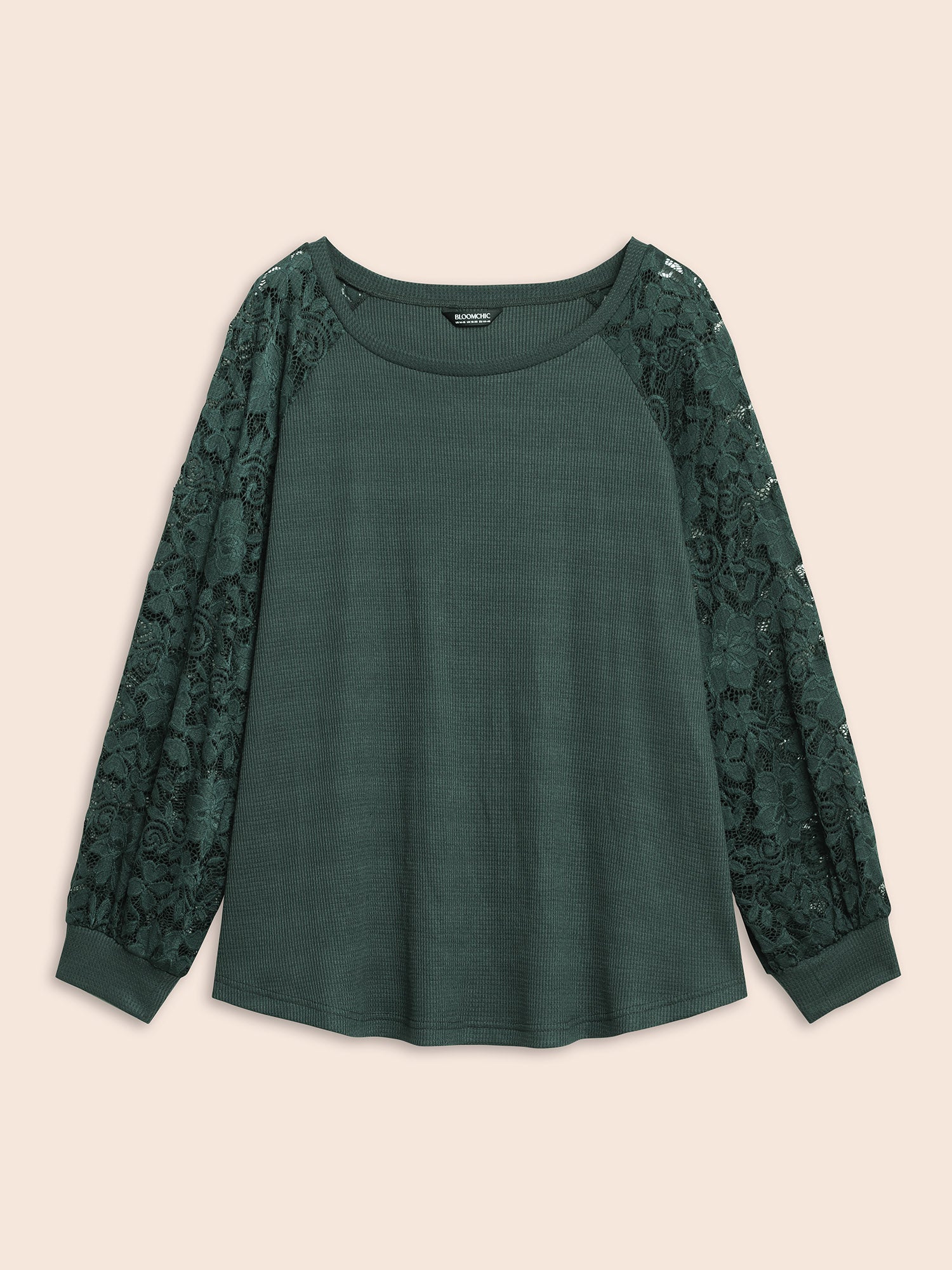 Plain Lace Panel Round Neck Raglan Sleeve T-shirt