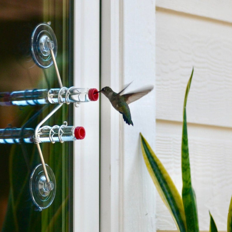 Geometric Window Hummingbird Feedere