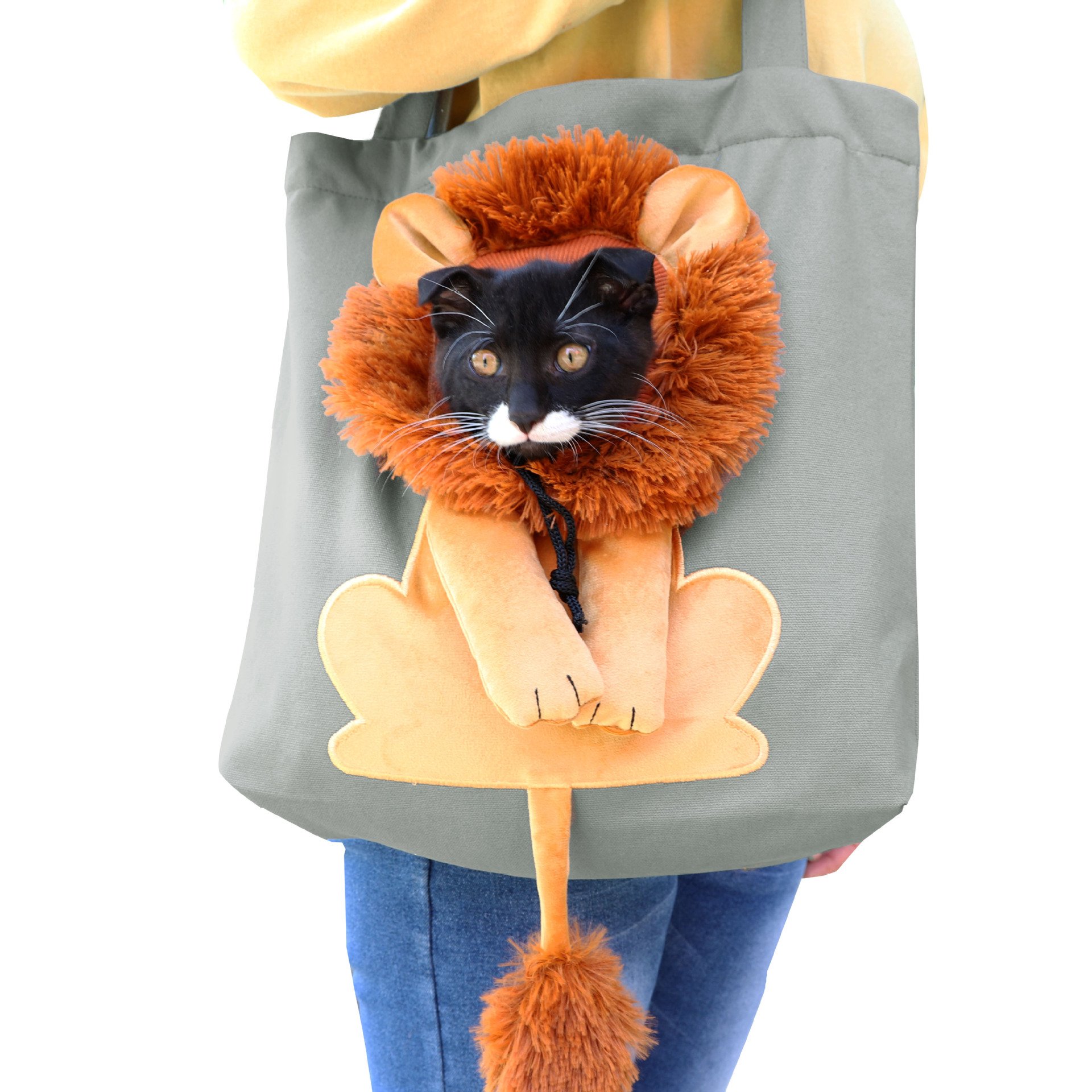 🔥49%-OFF NOW🔥Pet Bag Backpack