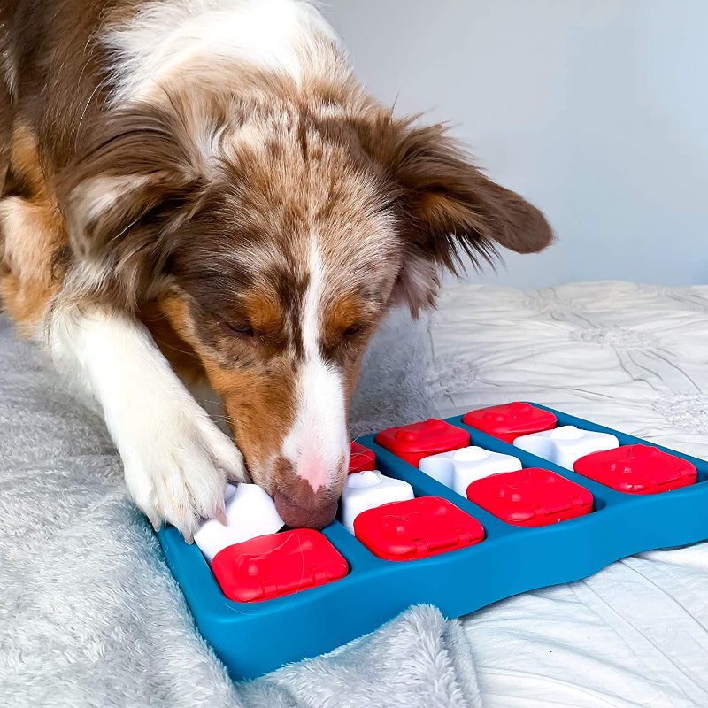 Dog Brick Treat Puzzle