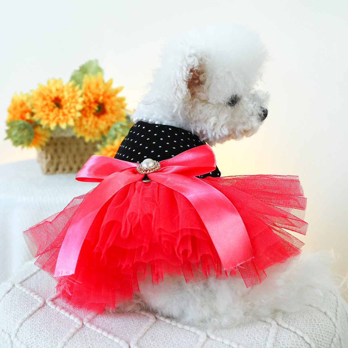 Lace Dog Cat Princess Wedding Dress