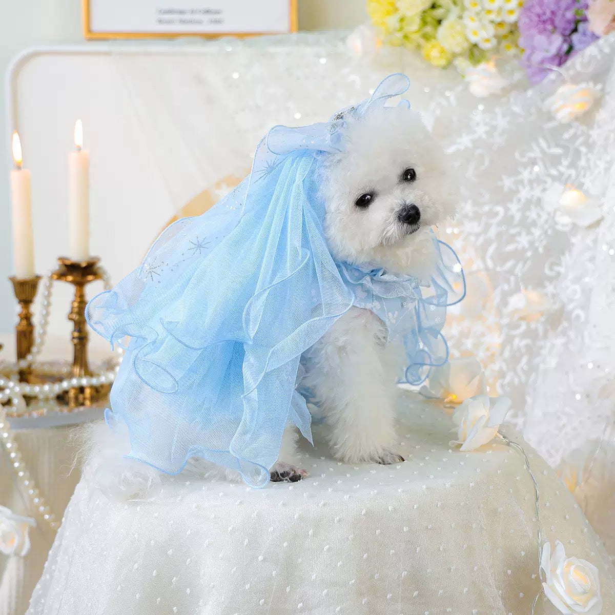 Bow/Mermaid/Ear Pattern Dog Cat Veil