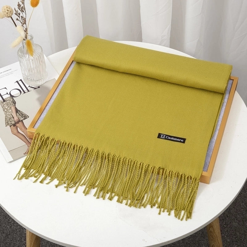 Women's Minimalist Solid Color Imitation Cashmere Tassel Scarf