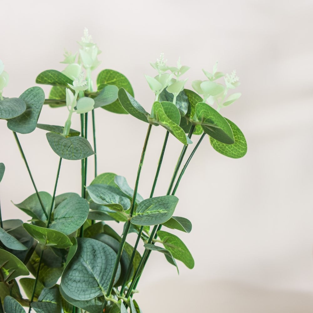 Eucalyptus Leaves