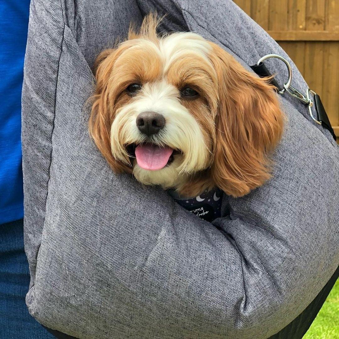 JetPaws Portable Dog Bed
