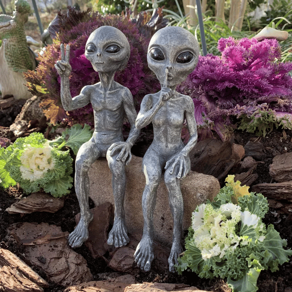 👽Outer Space Alien Dude and Babe Shelf Sitters