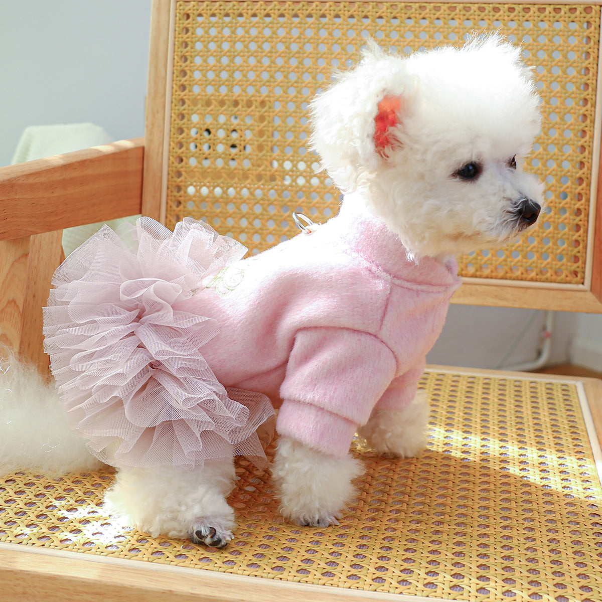 Crown Printed Warm Dog Lace Dress