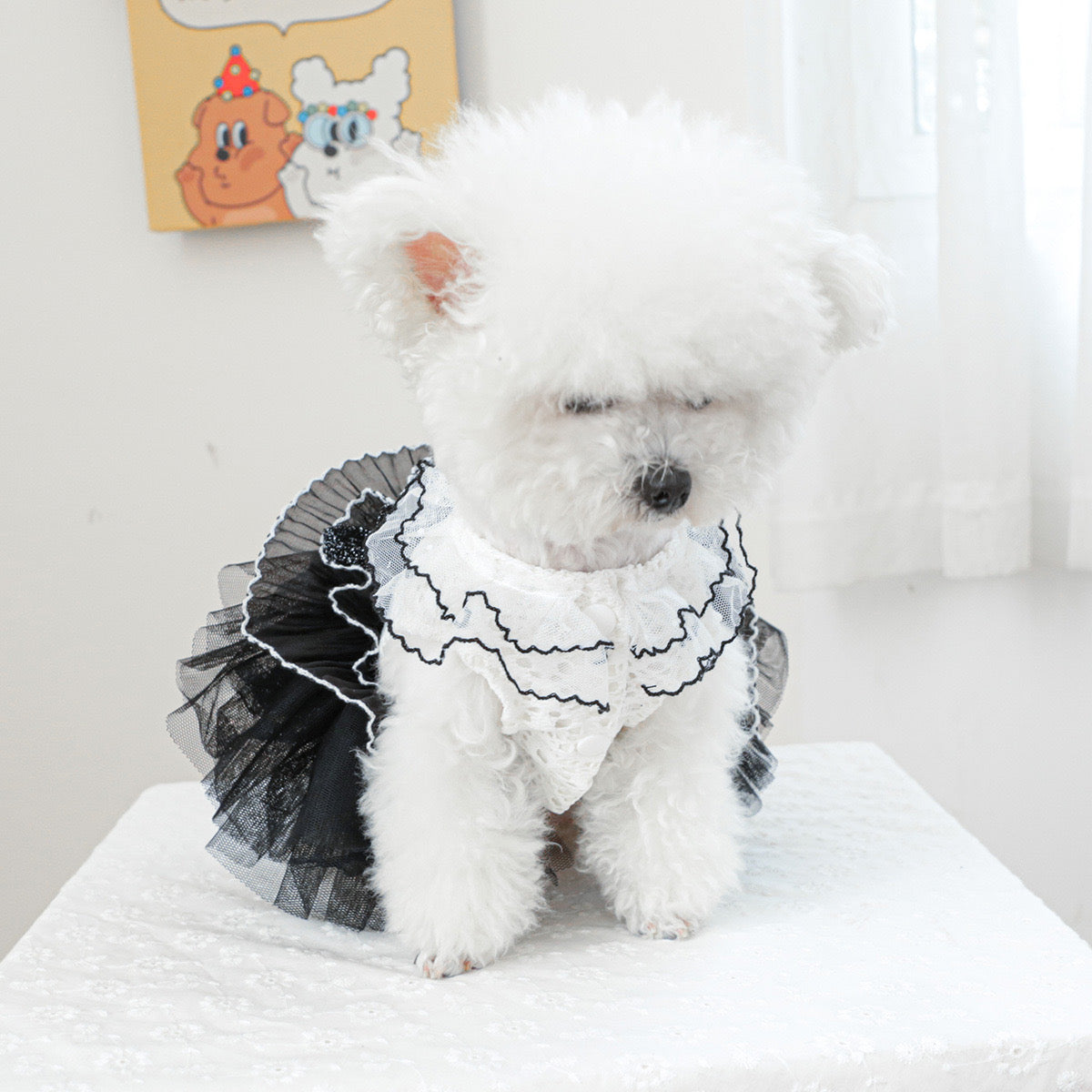 Black White Lace Dog Cat Princess Dress