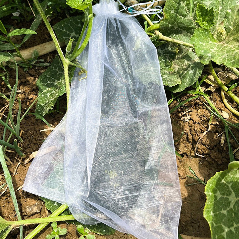 Protective Mesh Cover for Fruit Trees50% OFF