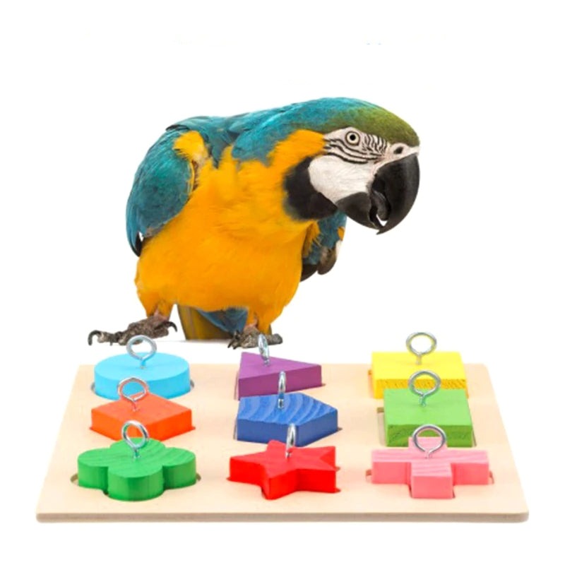 5 Pcs Bird Training Toys