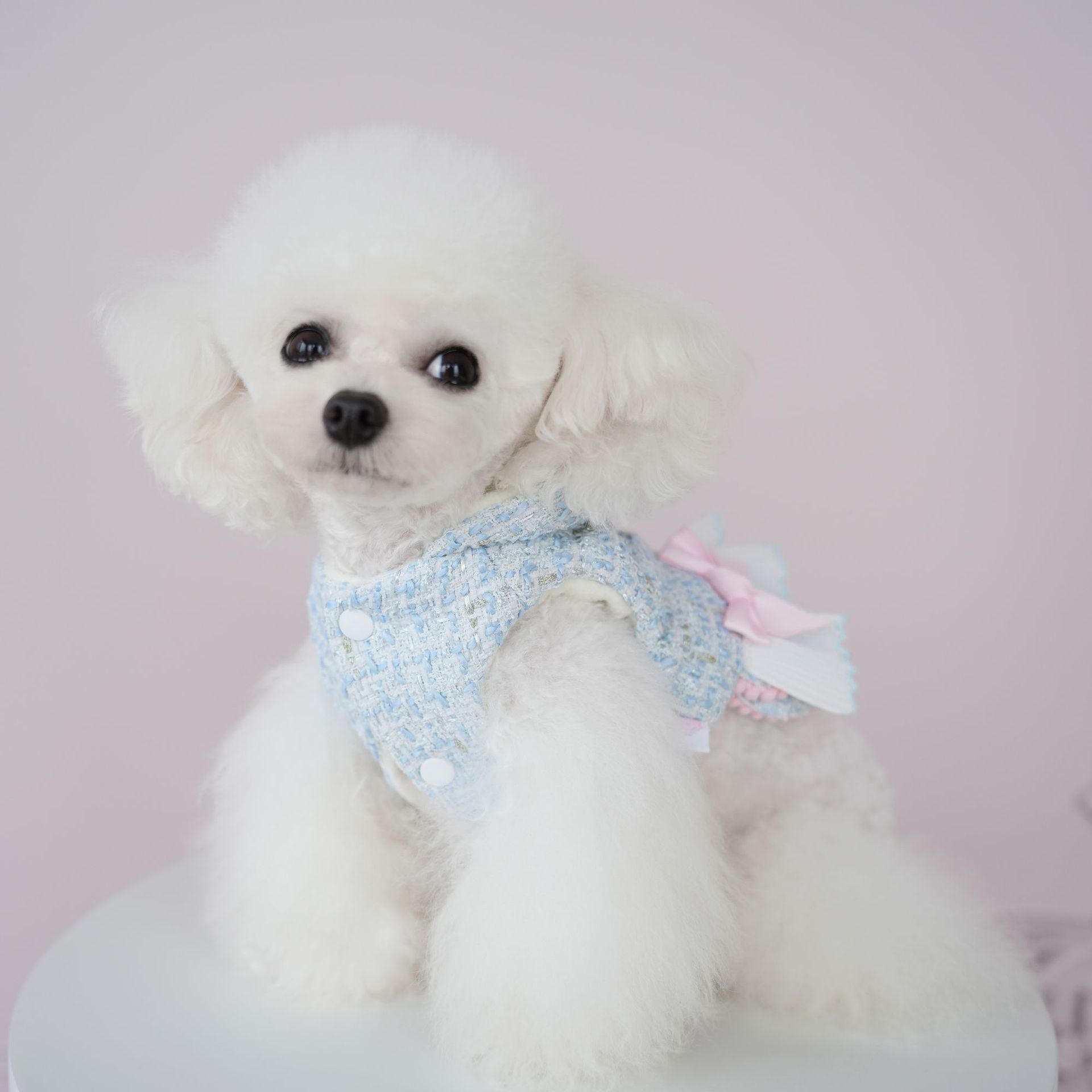 Warm Woollen Sweet Hooded Dog Dress Jacket