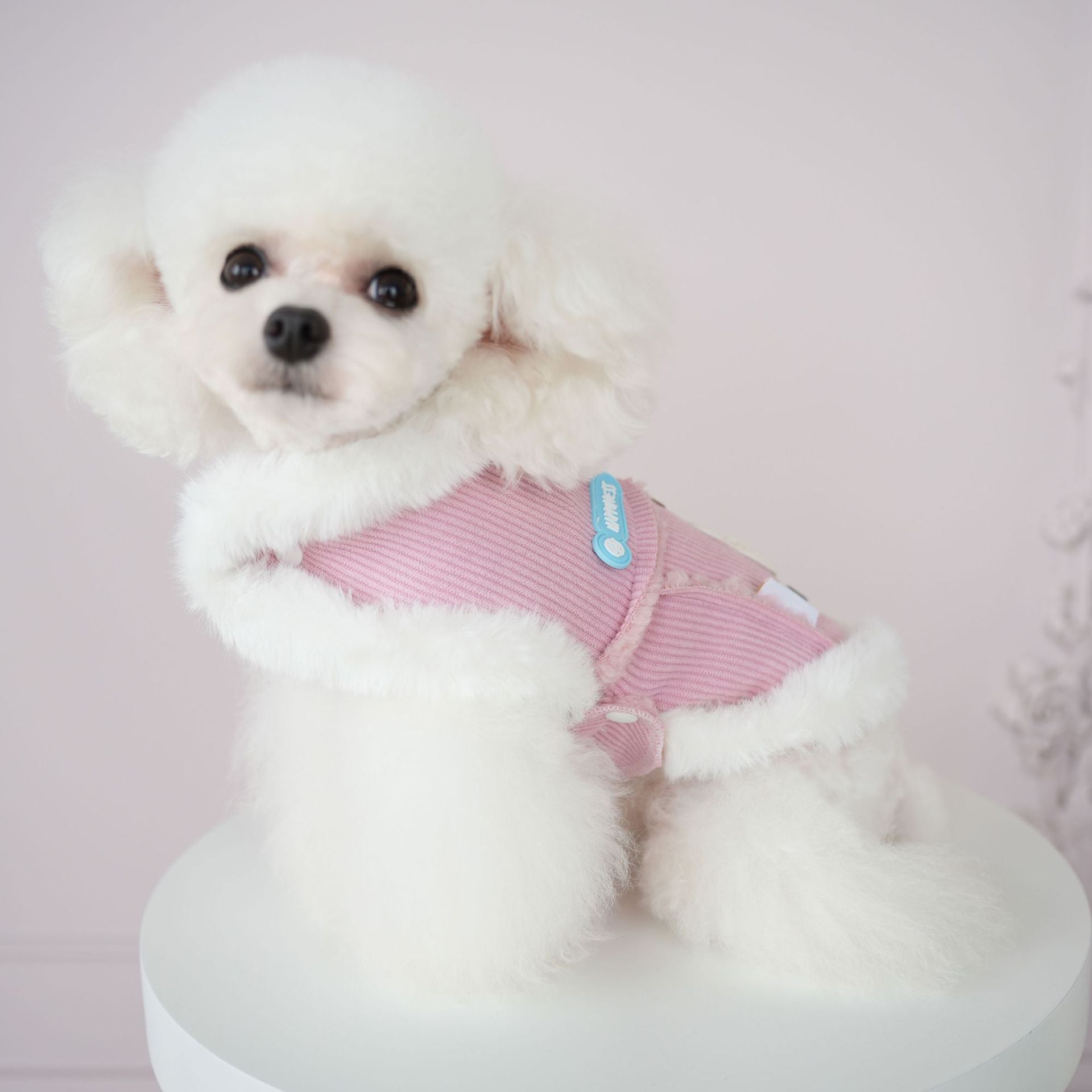 Furry Collar Rabbit Corduroy Dog Cat Jacket