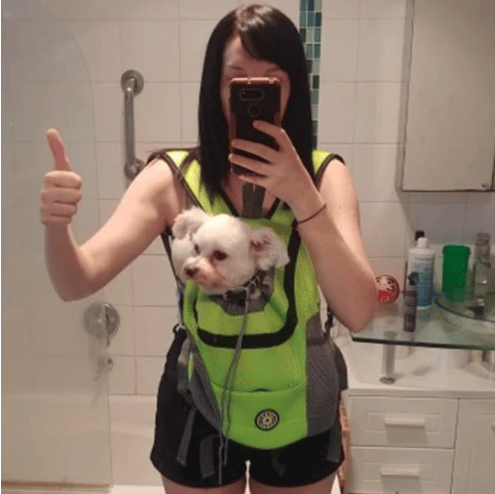 🔥2023 Dog Backpack