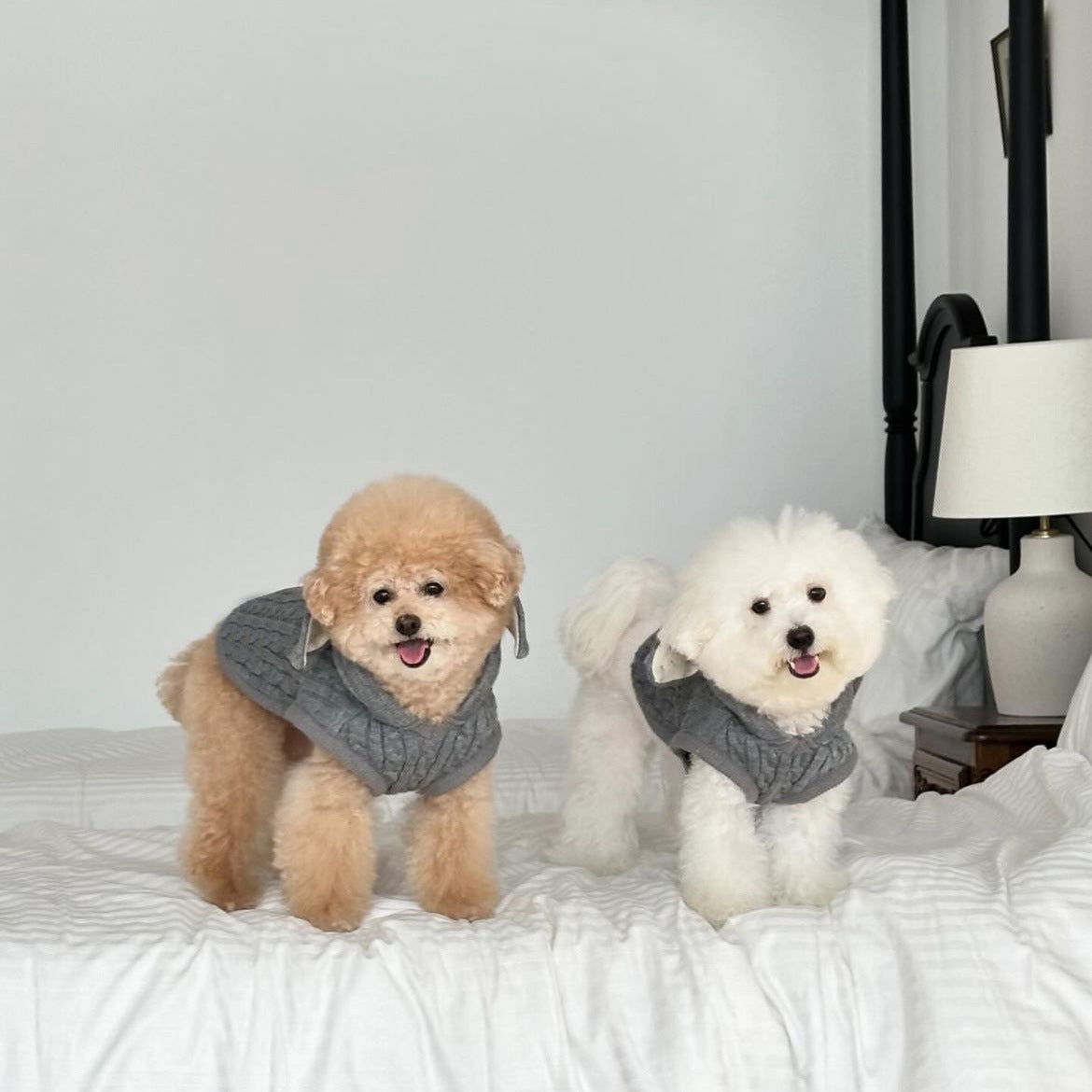 Warm Knitted Rabbit Ear Shaped Dog Cat Sweater
