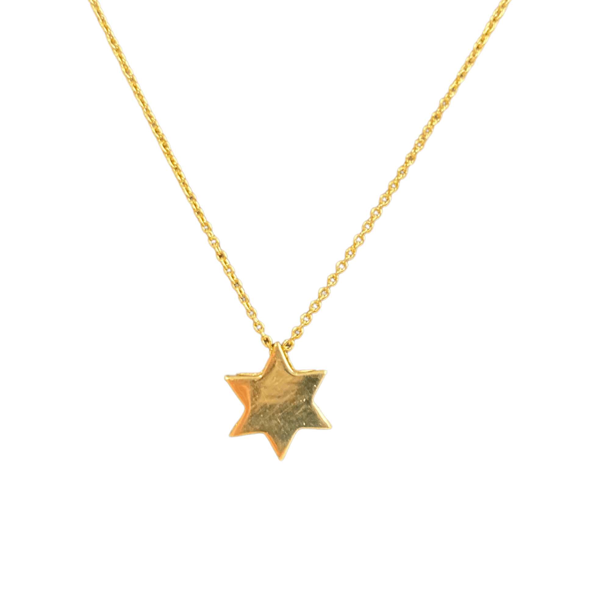 14k Gold Star of David Necklace - Gold. White Gold or Rose Gold