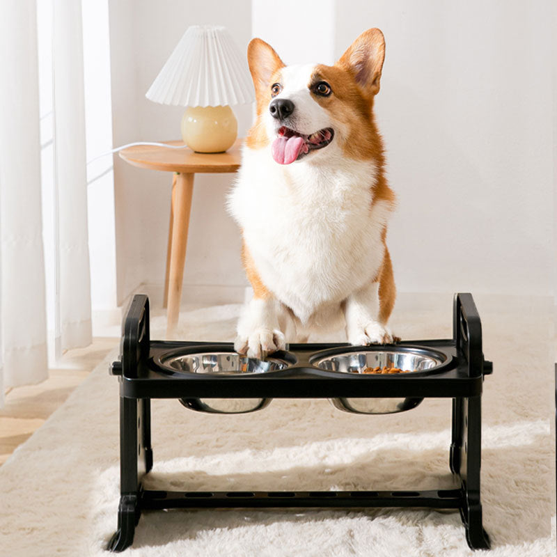 Dog Double Bowls With Stand Protect