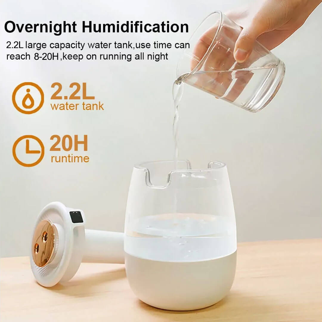 Large Capacity Dual Spray Air Humidifier