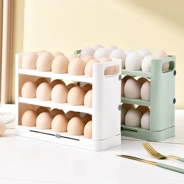 Egg Tray With Record Accurate Storage Time