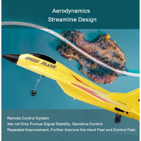 Last Day 48% OFF🔥Remote control wireless fighter